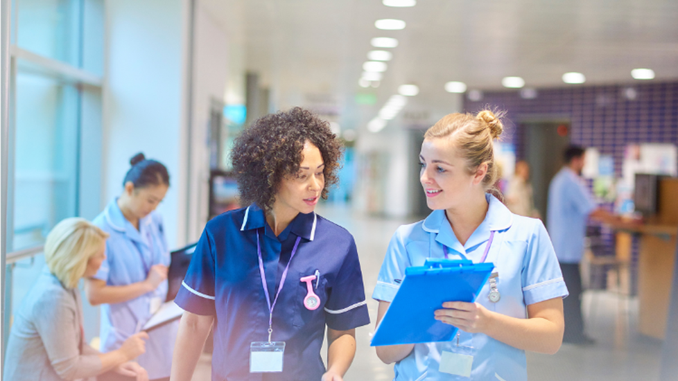 What is the Nursing Process?