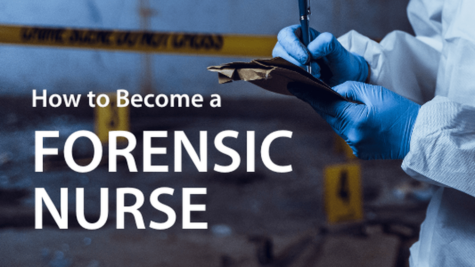 Forensic nurse working in a morgue